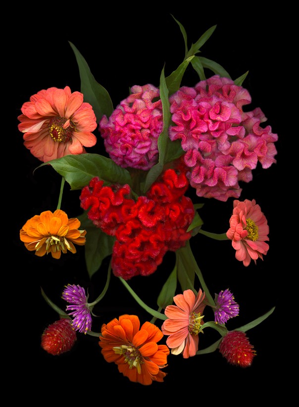 Summer 2021  100 dpi